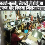 DA Hike: केंद्रीय कर्मचारियों की बल्ले-बल्ले! सैलरी में होने जा रहा बंपर इजाफा, जानिए कब और कितना मिलेगा पैसा?