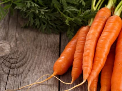 Благоприятные дни: вот когда нужно сажать морковь и свеклу