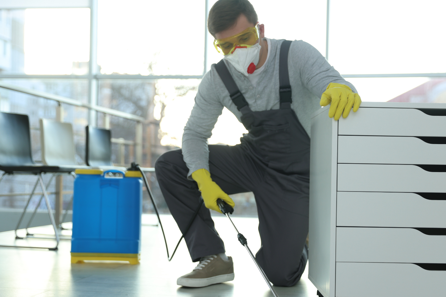 How to Choose the Best Pest Control Company in Noida: Your Comprehensive Guide to a Pest-Free Home