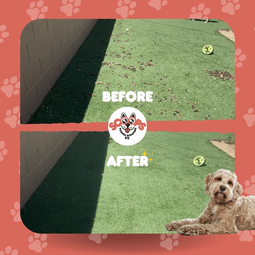 Branded before and after yard cleanup comparison