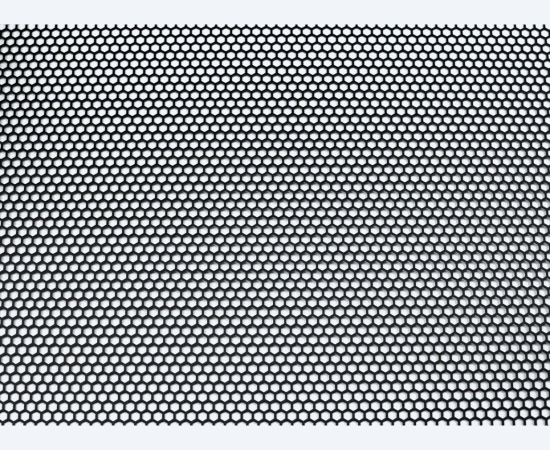 AUDIO SYSTEM HEXAGON Grill