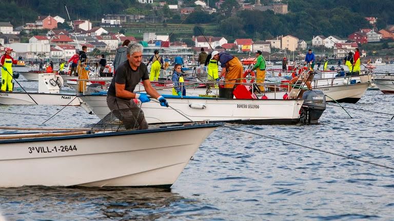 Castigados mariscadores de a pie renuncian a los permisos en Noia ante la incertidumbre