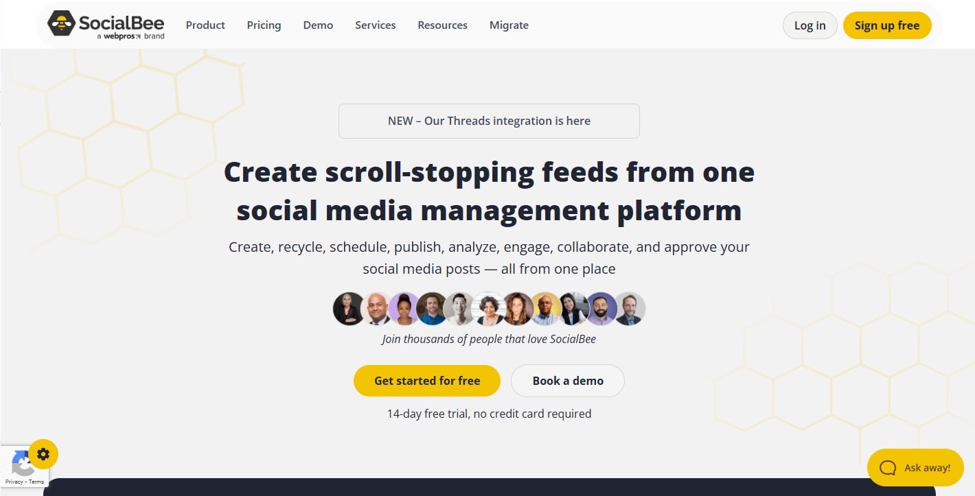 Social Bee