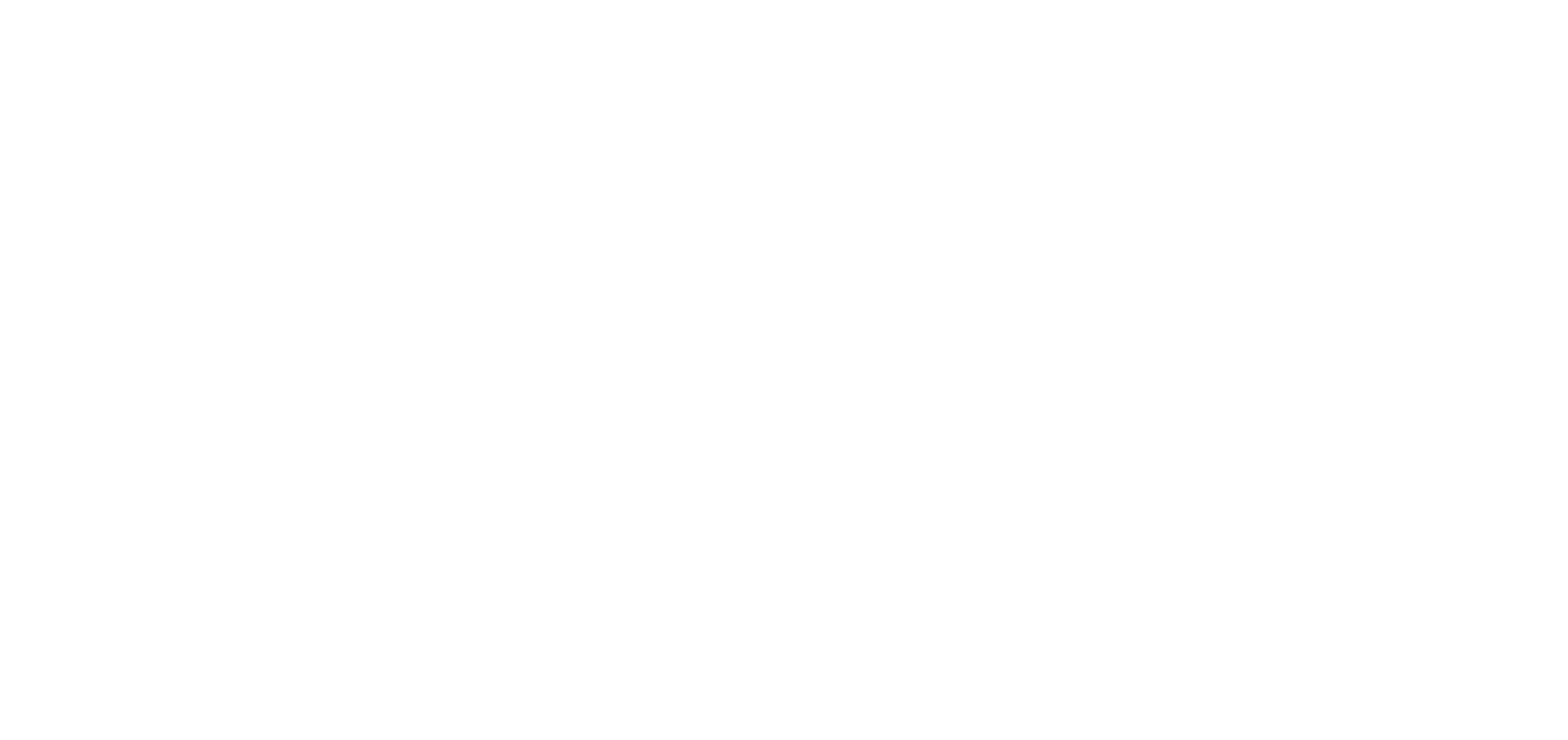 Seer Interactive logo