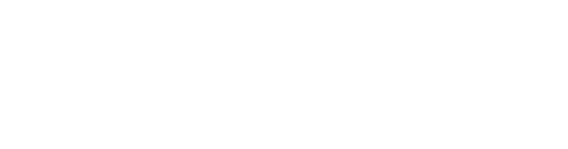 Everest Group logo