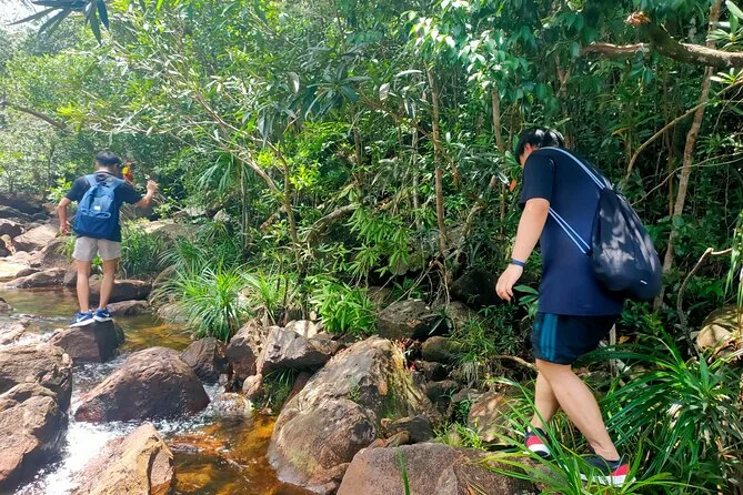 Phu Quoc Jungle Hiking Adventure