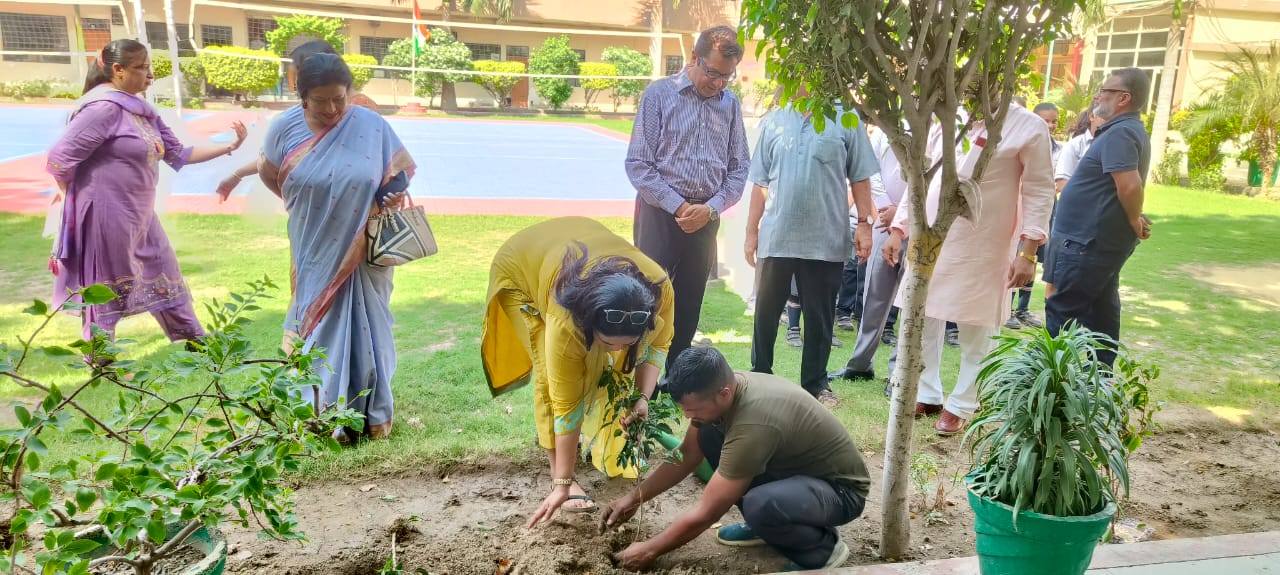 Tree Planting Activities