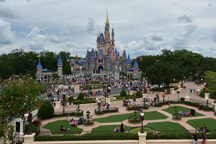 Disneyland vs Walt Disney World in 2024!