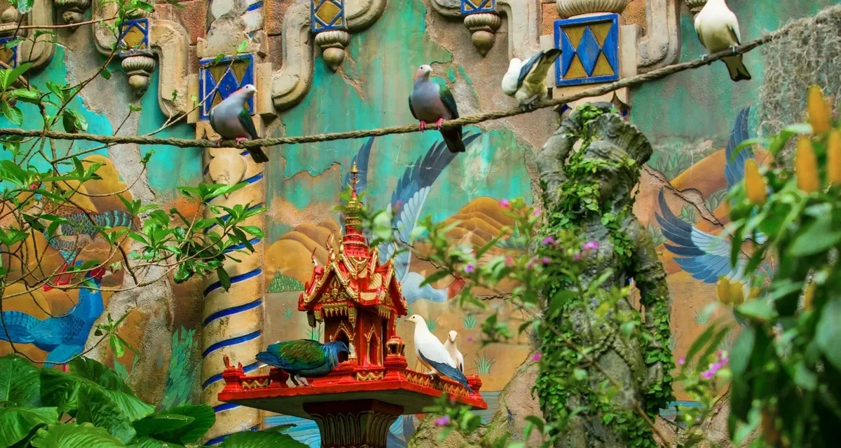 Animal Kingdom Maharajah Jungle Trek birds.webp