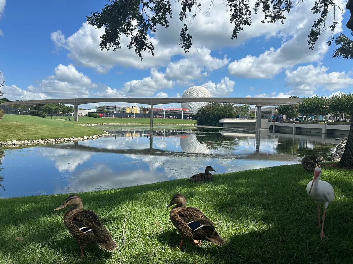 Disney World girls out Epcot.webp