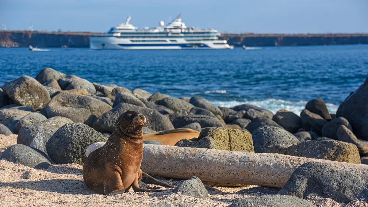 Celebrity Cruises galapagos cruise.webp