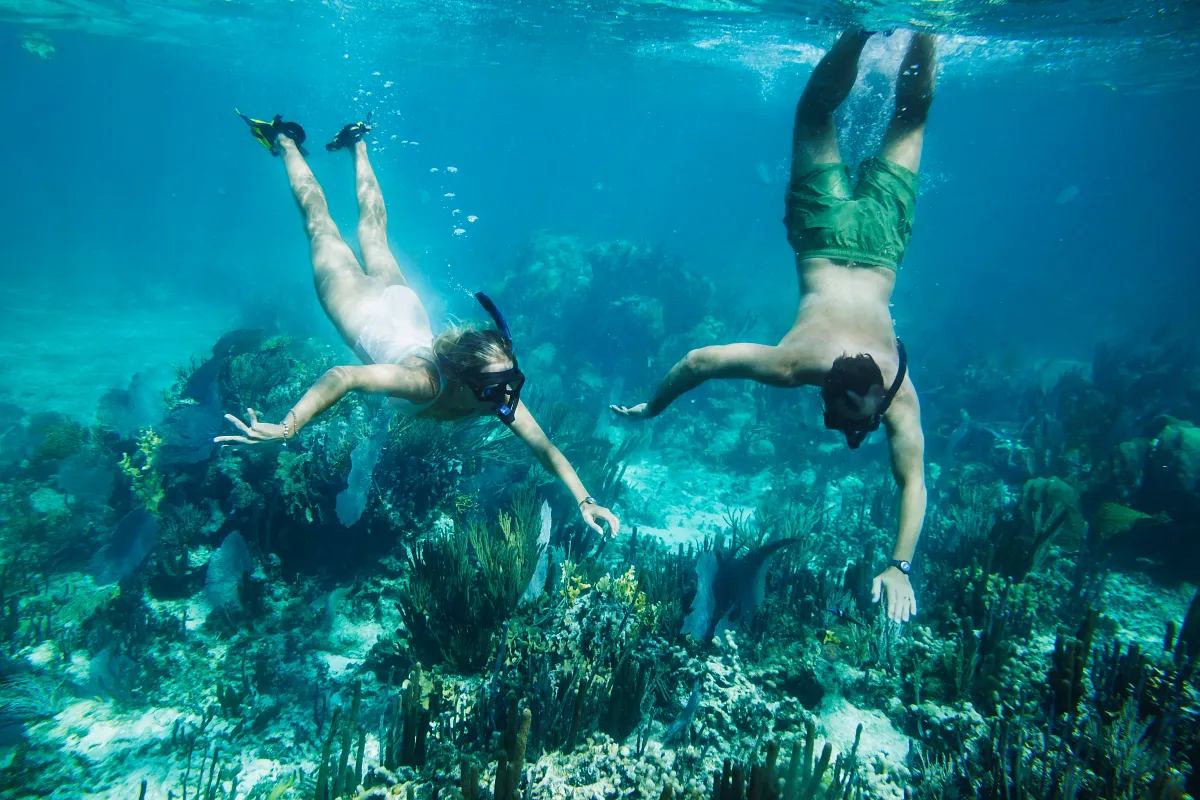 Princess Cruises Caribbean destination.webp