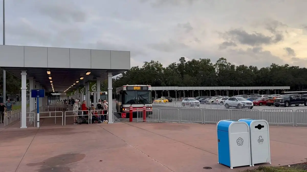 Transportation Disney World bus.webp
