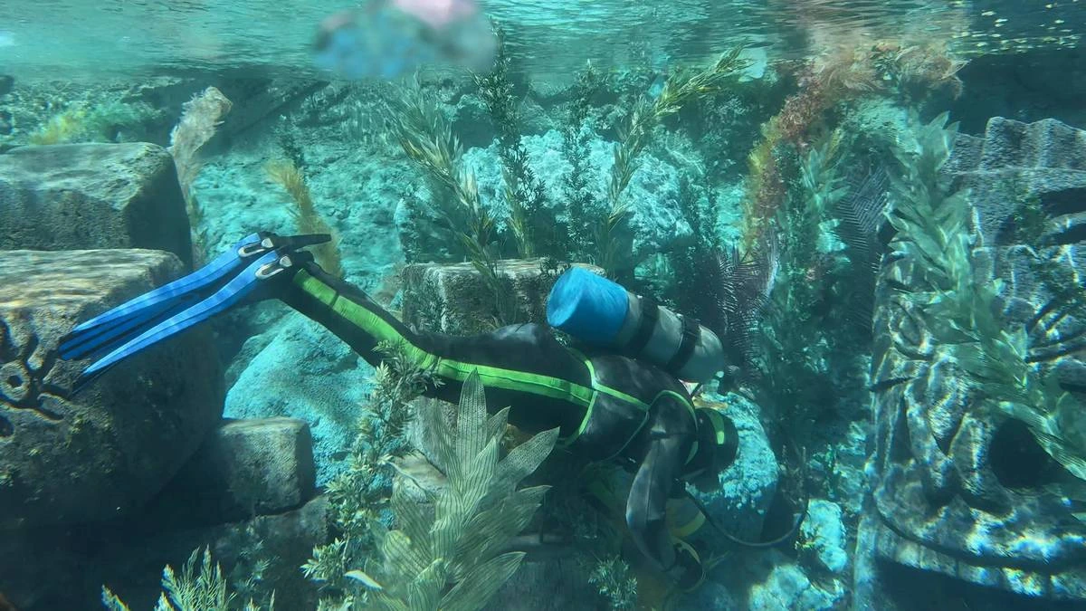 Finding Nemo Submarine Voyage diver.webp