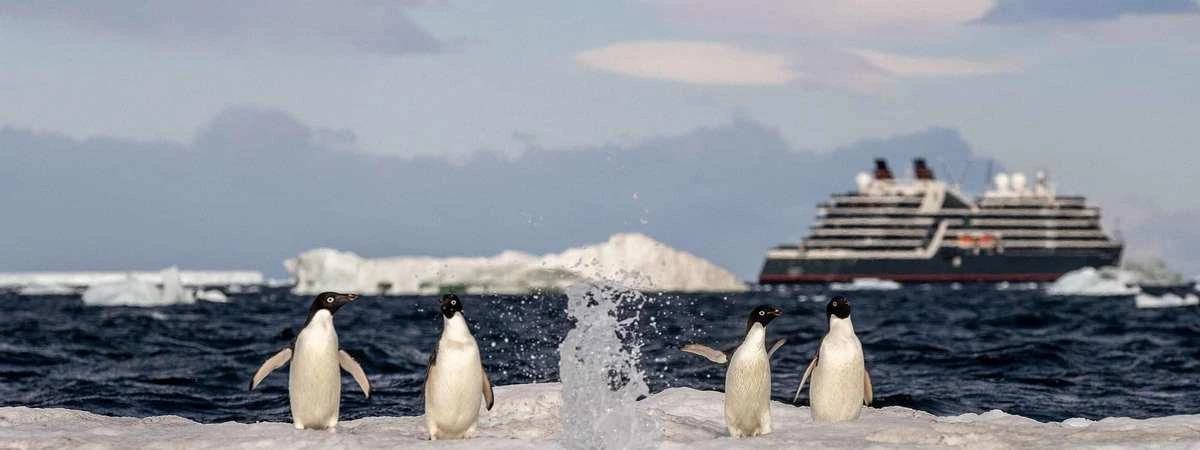 Seabourn Cruise Line Alaska.webp