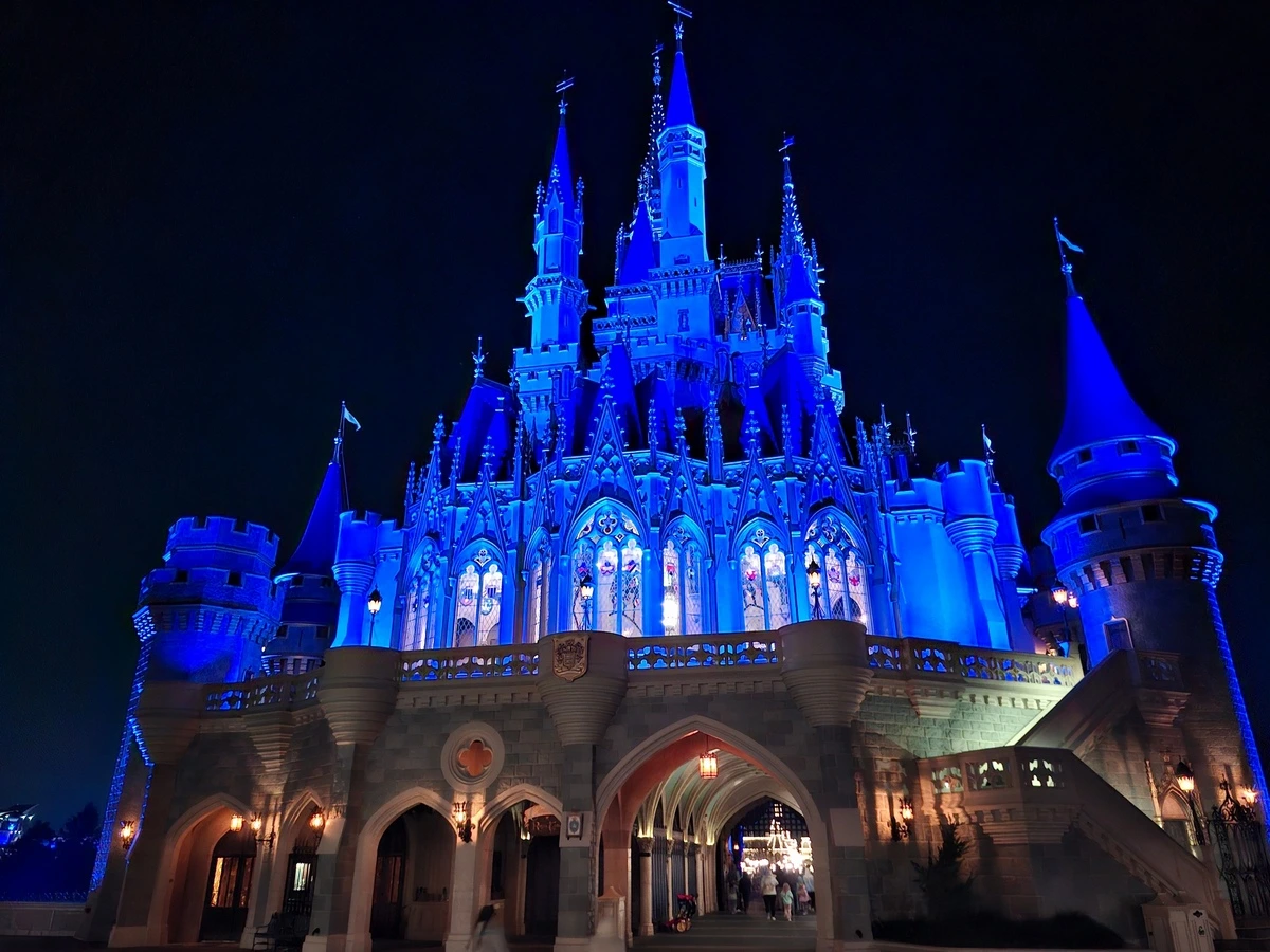 magic Kingdom night castle atmosphere.webp
