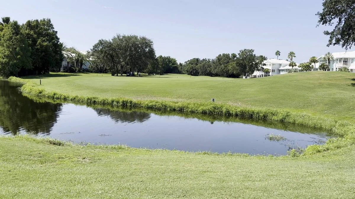 Disney World golf course 2.webp