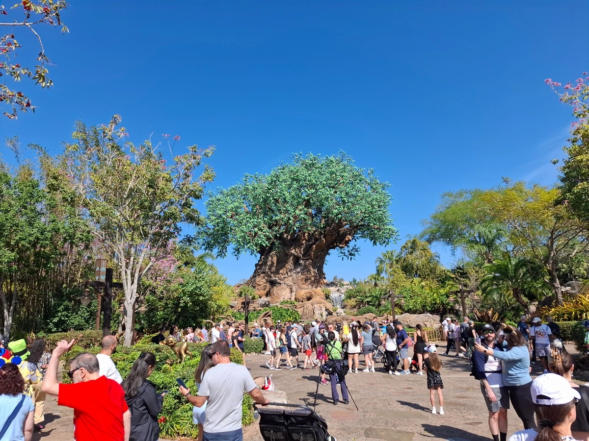 Animal Kingdom Tree of Life.webp