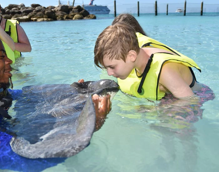 Princess Cays stingray encounter.webp