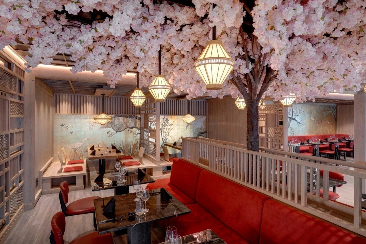 Explora Journeys Sakura restaurant.webp