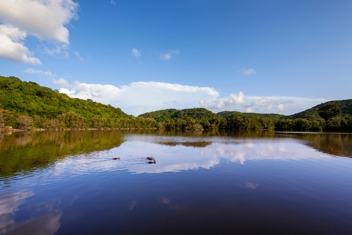 Elite Island Resorts Galley Bay Nature.webp