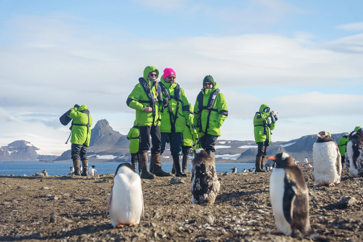 Atlas Ocean Voyages Penguins Excursion.webp