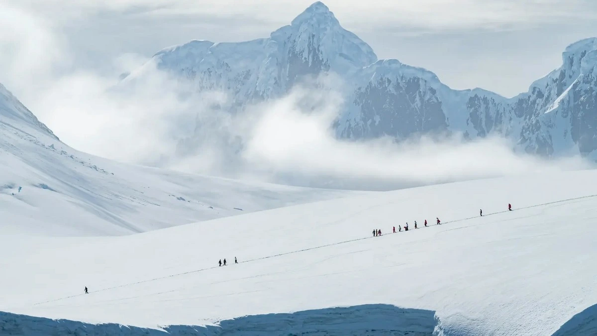 Ponant Cruises Polar Cruise.webp