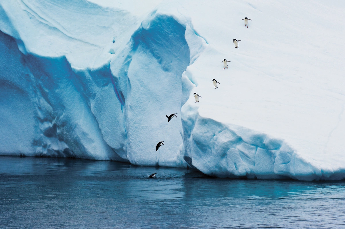 HX Hurtigruten Expeditions Antarctica.webp