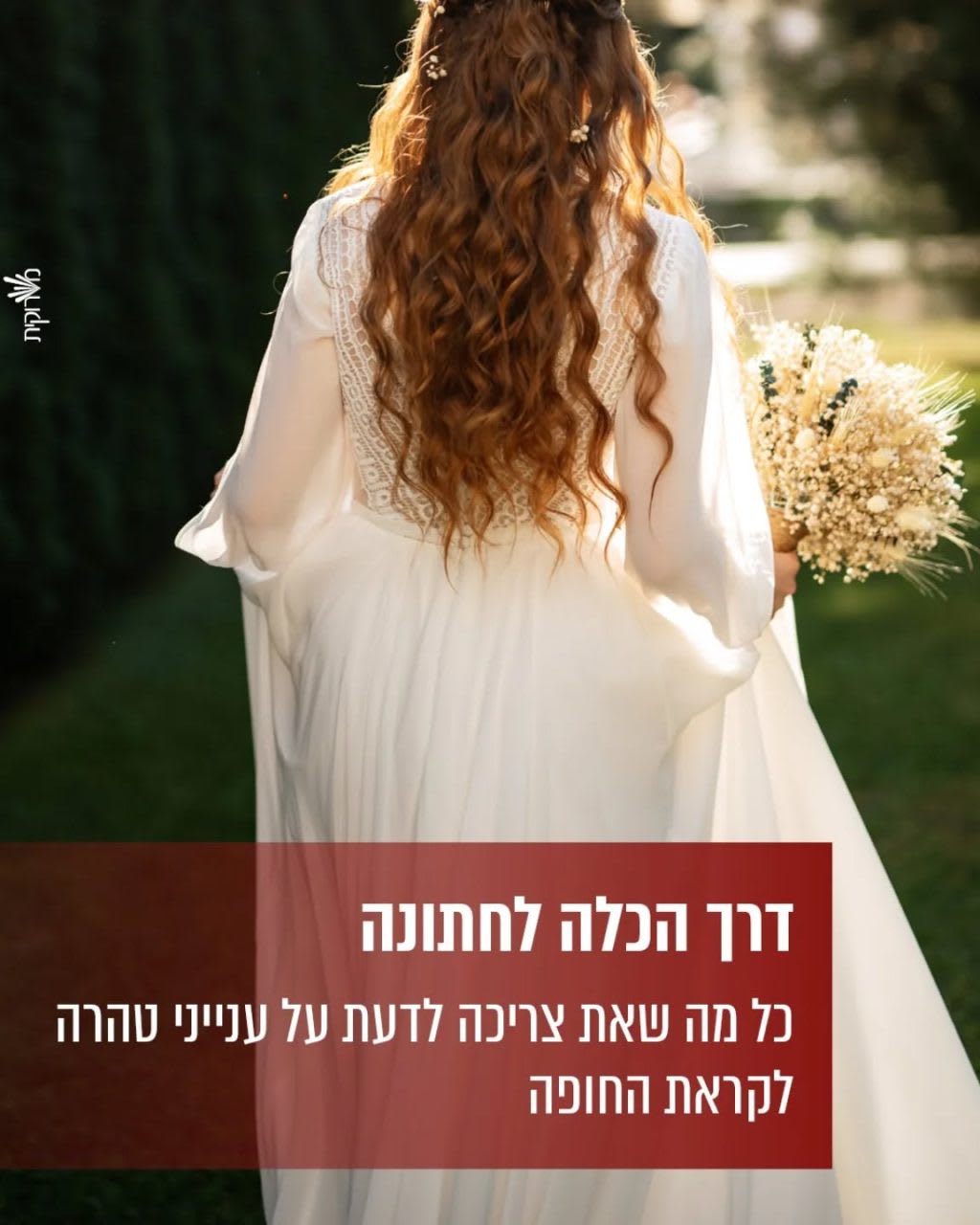 Instagram post from nishmat_yoatzot_halacha. This post is in position 15.