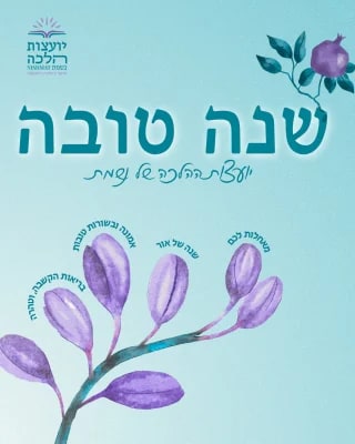 Instagram post from nishmat_yoatzot_halacha. This post is in position 2.