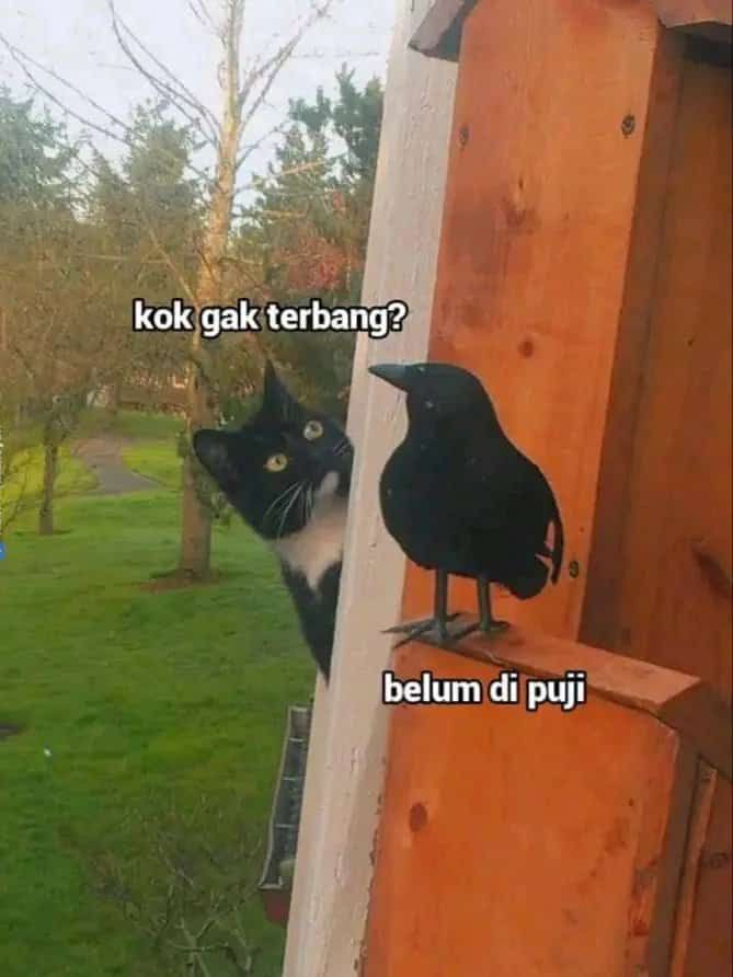 PGBET200: Tempat Game Jackpot Dalam Waktu Singkat Depo 100k Wd 1,2 Juta image 1