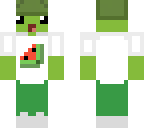 Skin Turtle