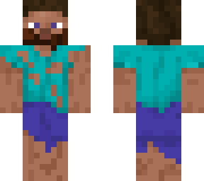 day 100 steve