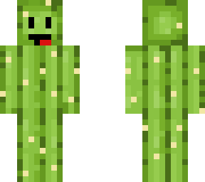 Skeppy Cactus skin