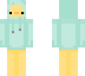aqua duck