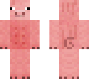 Normal pig skin