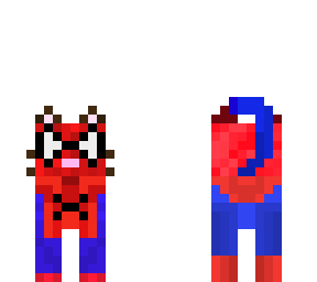 spider cat