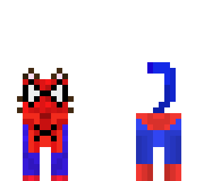 spider cat