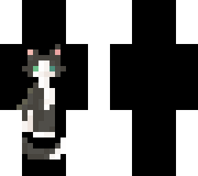 gray cat