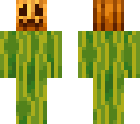 Melon Pumpkin Skin