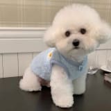 Solid-Color Warm Pet Clothes For Puppies - Image 5