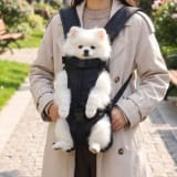 Wholesale Outdoor Dog Carrier Backpack - Image 4