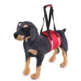 Dog Carrier With Pet-handling Handle And Auxiliary Leash - Image 2