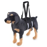 Dog Carrier With Pet-handling Handle And Auxiliary Leash - Image 1