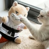 Cat Glove Interactive Plush Cat Teaser Pet Amusement Toy - Image 4