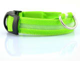 Nylon LED Pet Dog Luminous Collar Night Safety Flashing Glow in Dark Dog Cat Leash Adjustable Pet Supplies - Image 11