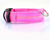 Nylon LED Pet Dog Luminous Collar Night Safety Flashing Glow in Dark Dog Cat Leash Adjustable Pet Supplies - Image 15