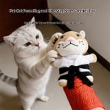Cat Glove Interactive Plush Cat Teaser Pet Amusement Toy - Image 2