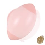 Travel Pet Hair Remover 2