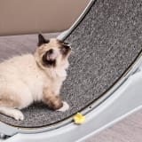 Silent Pet Cat And Dog Running Wheel - Large Exercise Fitness Roller Toy For Indoor Activity - Image 2